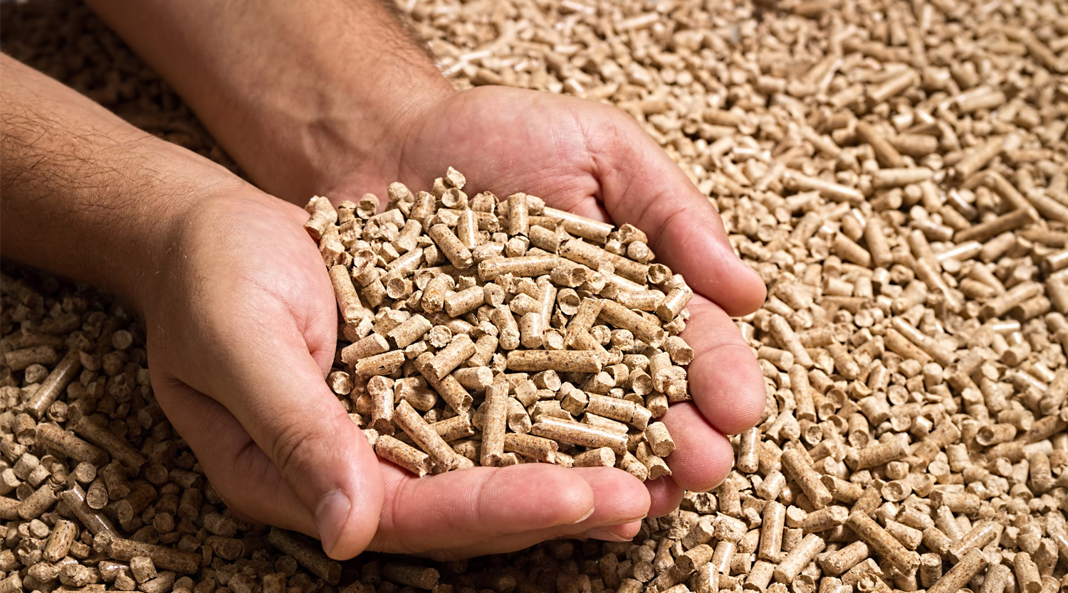 Pellets auf zwei Handflächen